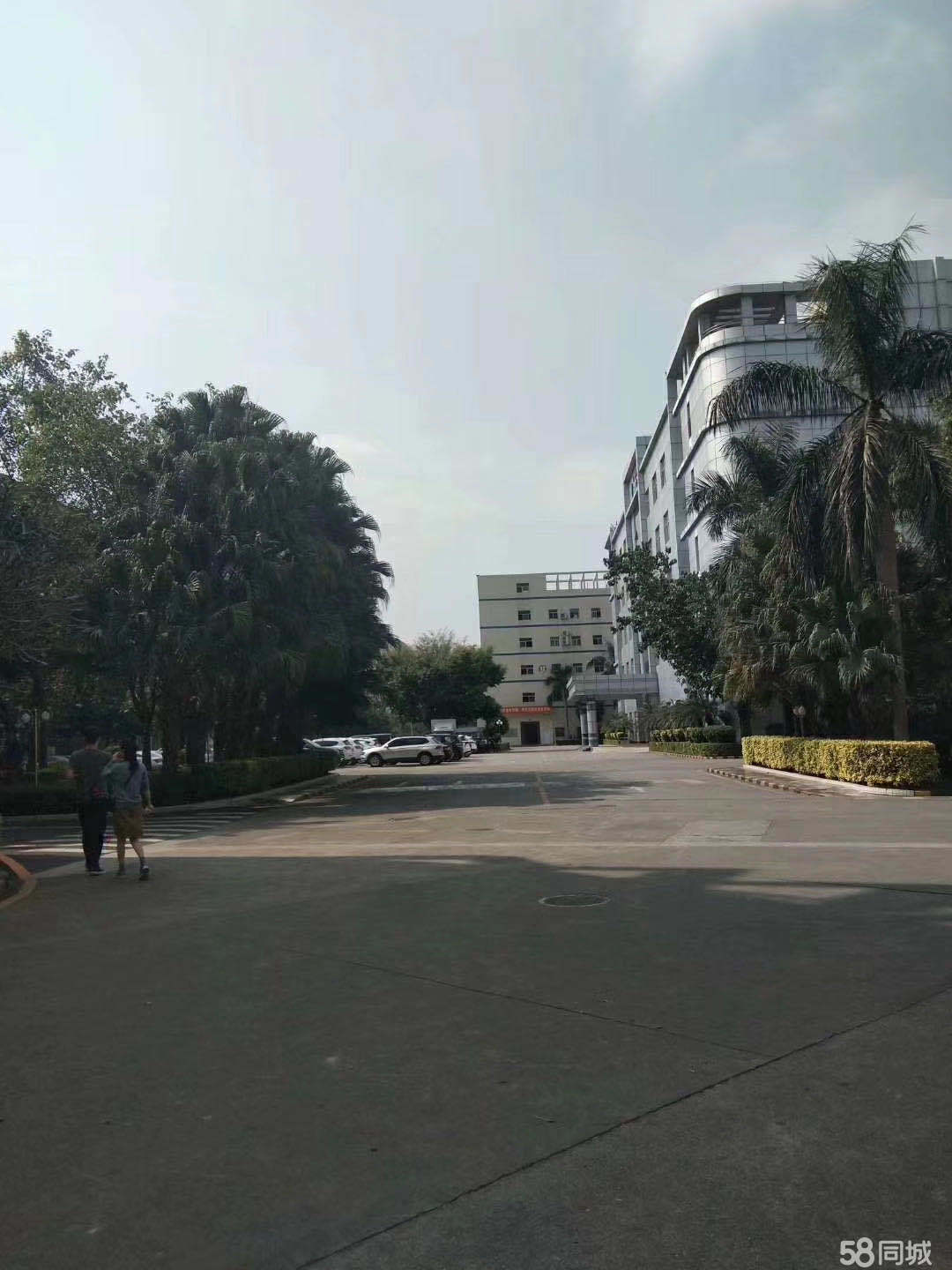 普工、生產(chǎn)工、操作工、裝配工、維修員、包裝工、插件、組長、拉長